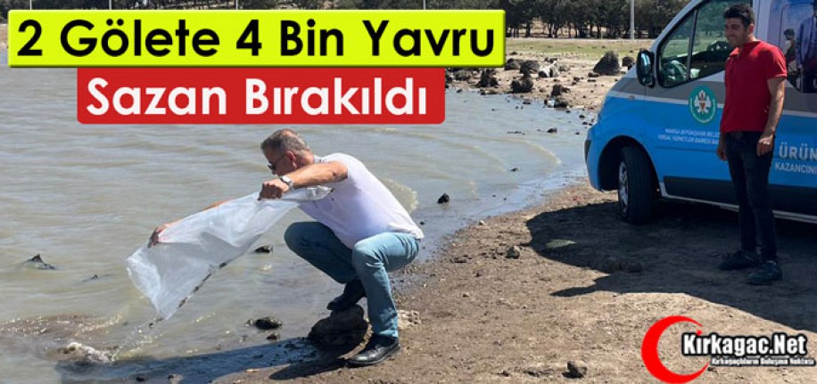 Kırkağaç ve Akhisar’da 2 Gölet'e 4 Bin Yavru Sazan Bırakıldı