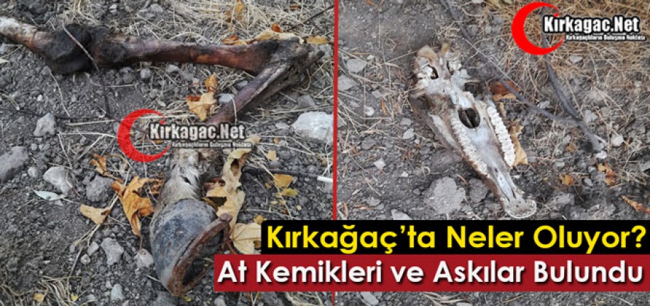 KIRKAĞAÇ’TA AT KEMİKLERİ ve ASKILAR BULUNDU