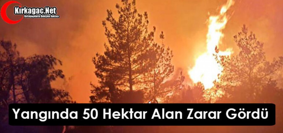 YANGINDA 50 HEKTAR ALAN ZARAR GÖRDÜ