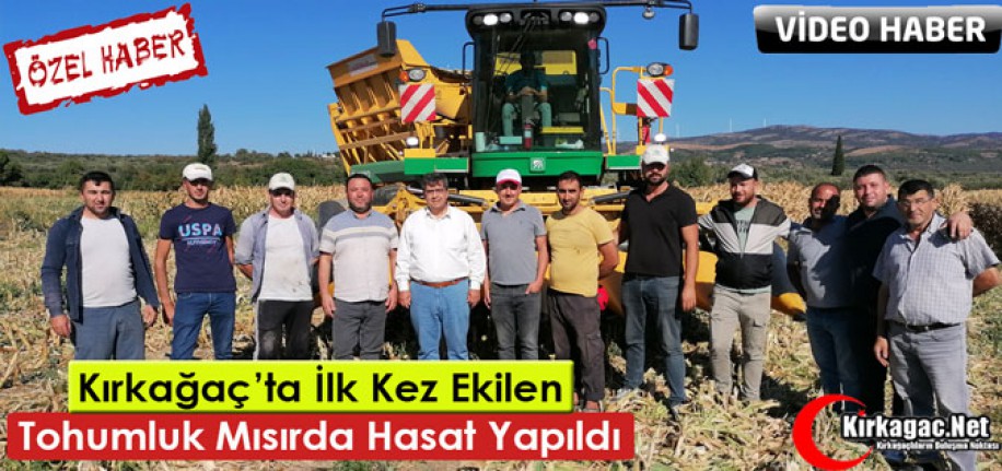 KIRKAĞAÇ’TA İLK KEZ EKİLEN TOHUMLUK MISIRDA HASAT YAPILDI(VİDEO)