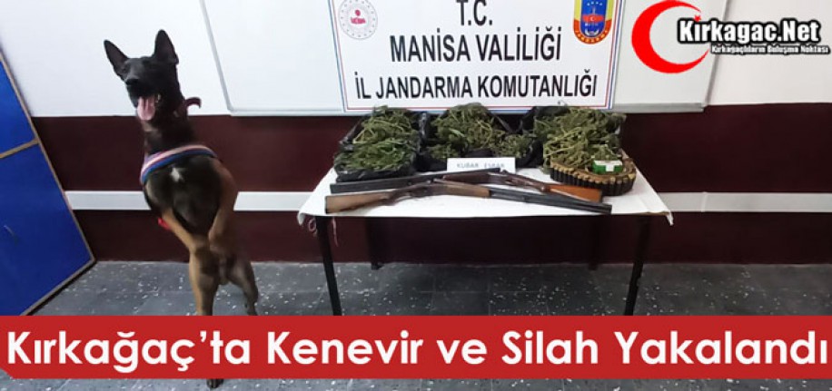 KIRKAĞAÇ’TA KENEVİR ve SİLAH YAKALANDI