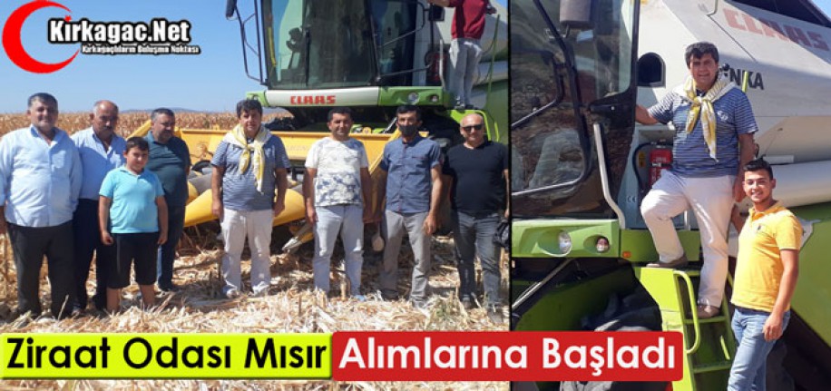 ZİRAAT ODASI "MISIR" ALIMINA BAŞLADI