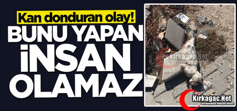 BUNU YAPAN İNSAN OLAMAZ..KIRKAĞAÇ’TA KAN DONDURAN OLAY