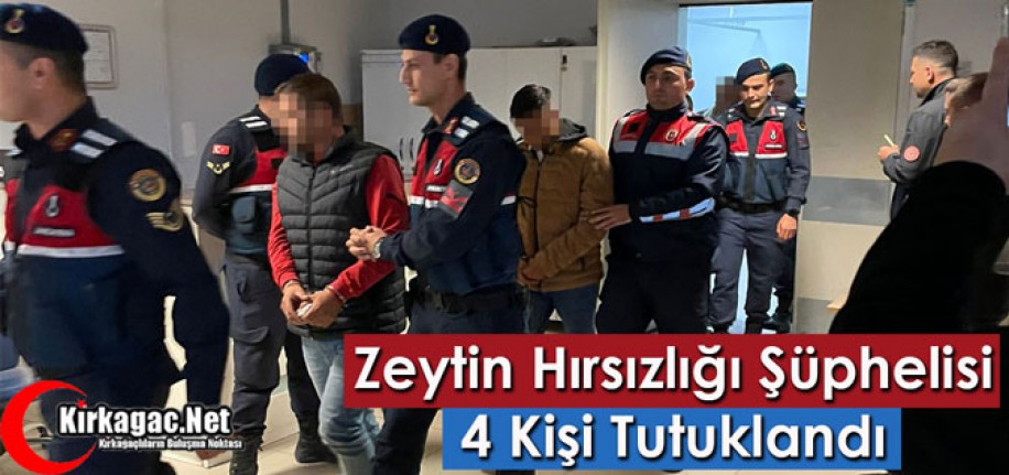 KIRKAĞAÇ'TA ZEYTİN HIRSIZLIĞI ŞÜPHELİSİ 4 KİŞİ TUTUKLANDI