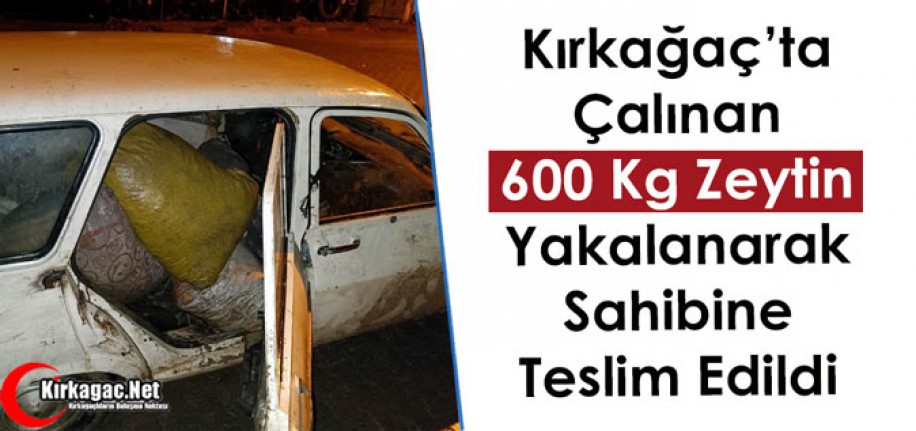 ÇALINAN 600 KG ZEYTİN SAHİBİNE TESLİM EDİLDİ