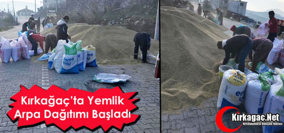 KIRKAĞAÇ’TA YEMLİK ARPA DAĞITIMI BAŞLADI