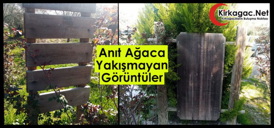 ANIT AĞACA YAKIŞMAYAN GÖRÜNTÜLER