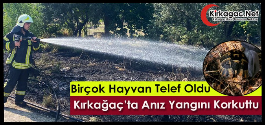 KIRKAĞAÇ’TA ANIZ YANGININDA BİRÇOK HAYVAN TELEF OLDU