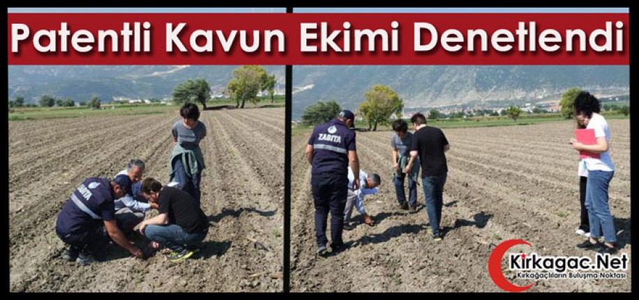 PATENTLİ KIRKAĞAÇ KAVUNUNUN EKİMİ DENETLENDİ