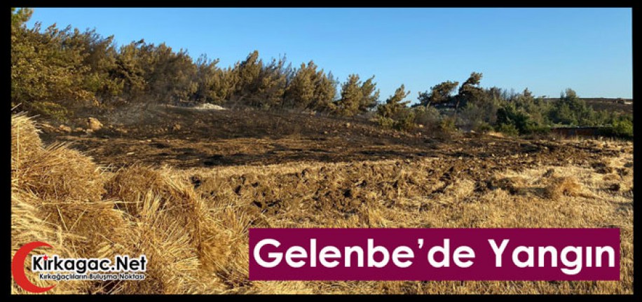GELENBE’DE ORMAN YANGINI