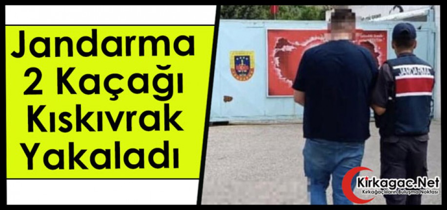 JANDARMA 2 KAÇAĞI KISKIVRAK YAKALADI