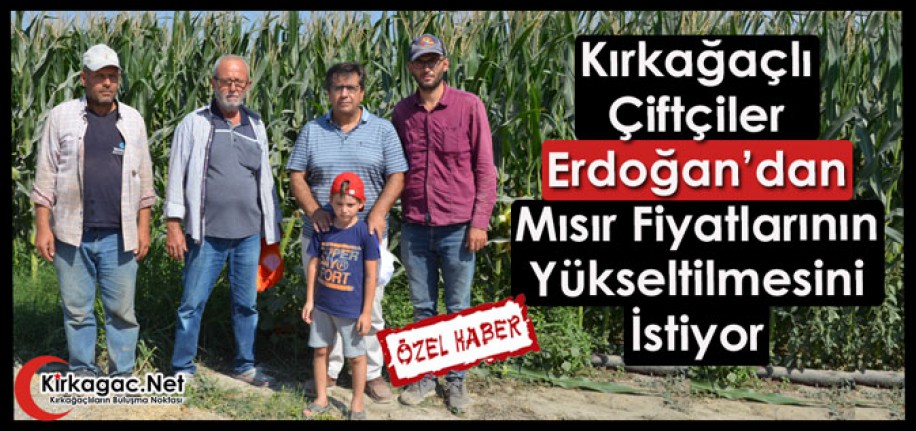 KIRKAĞAÇLI ÇİFTÇİLER ERDOĞAN'DAN MISIR FİYATLARININ YÜKSELTİLMESİNİ İSTİYOR