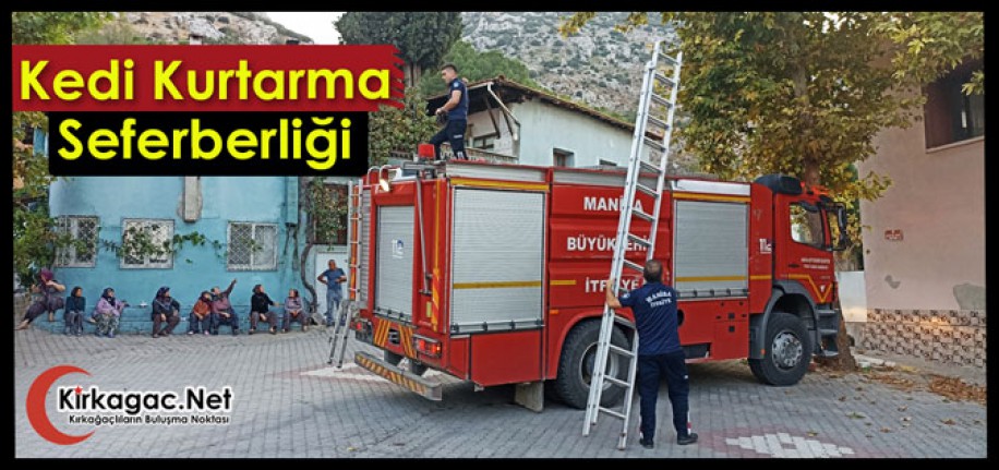 KIRKAĞAÇ’TA KEDİ KURTARMA SEFERBERLİĞİ