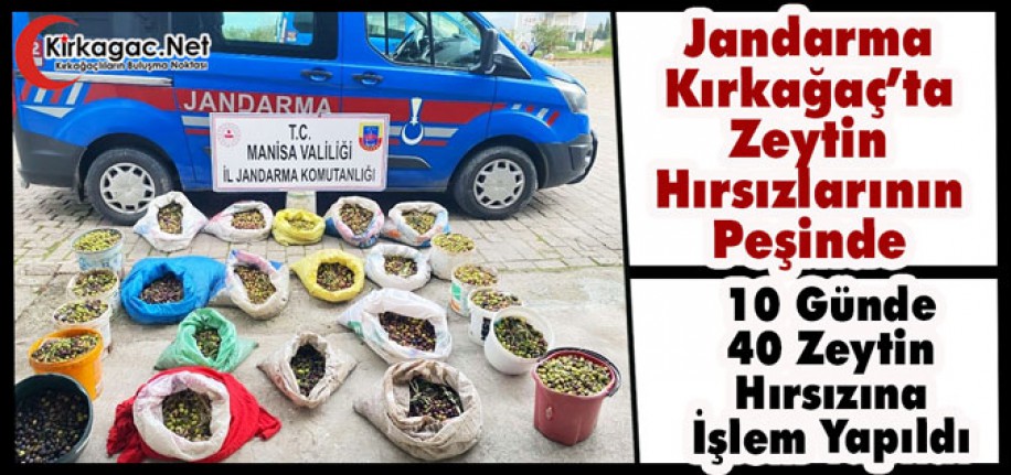 JANDARMA KIRKAĞAÇ’TA ZEYTİN HIRSIZLARININ PEŞİNDE