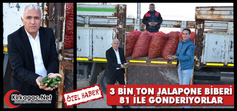 KIRKAĞAÇ’TAN 3 BİN TON JALAPONE BİBER 81 İLE GÖNDERİLİYOR