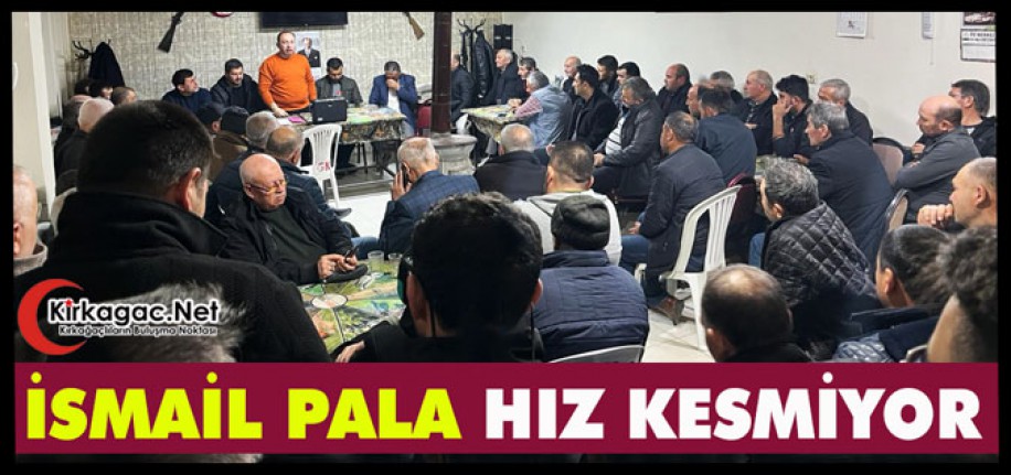 DEMOKRAT PARTİ ADAYI PALA HIZ KESMİYOR