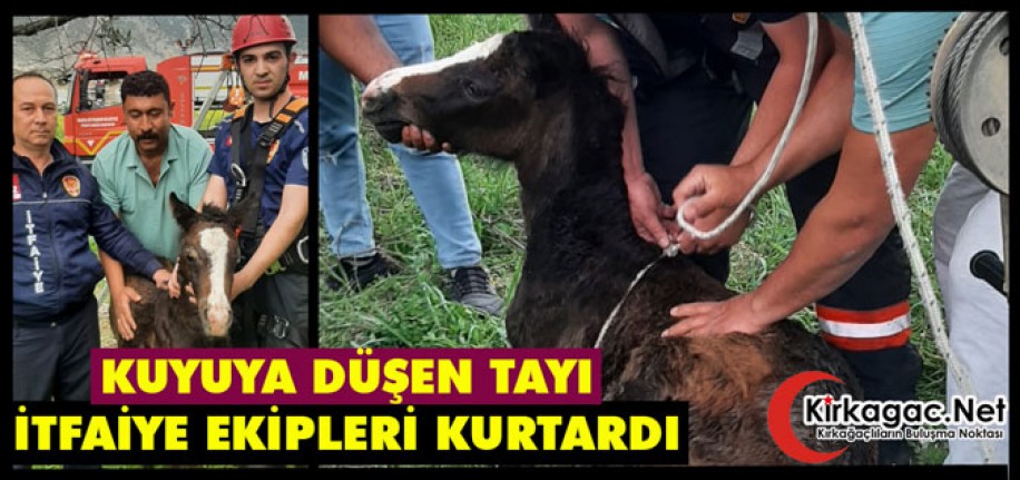 KUYUYA DÜŞEN TAYI İTFAİYE EKİPLERİ KURTARDI