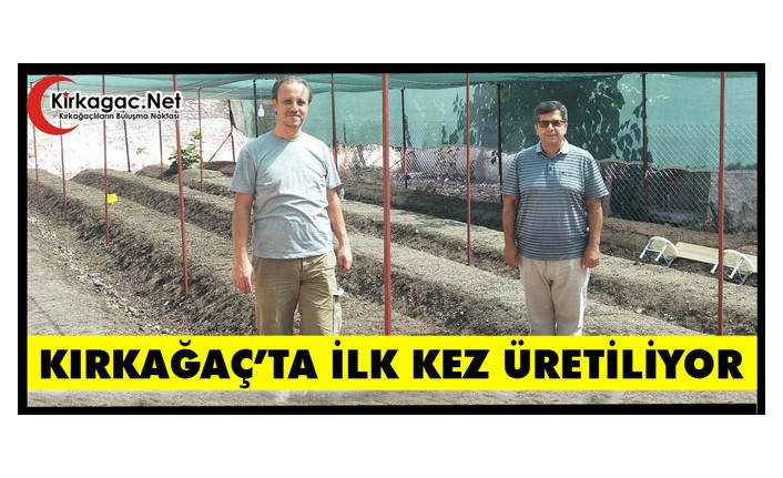 KIRKAĞAÇ’TA İLK KEZ ÜRETİLİYOR