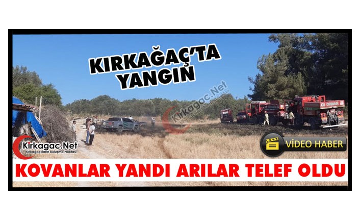 KIRKAĞAÇ’TA YANGIN.. KOVANLAR YANDI ARILAR TELEF OLDU