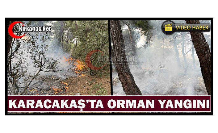KARACAKAŞ’TA ORMAN YANGINI(VİDEO)
