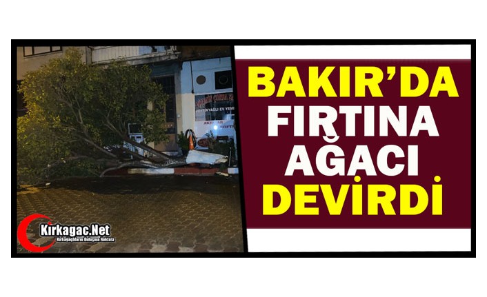 BAKIR’DA FIRTINA AĞACI DEVİRDİ