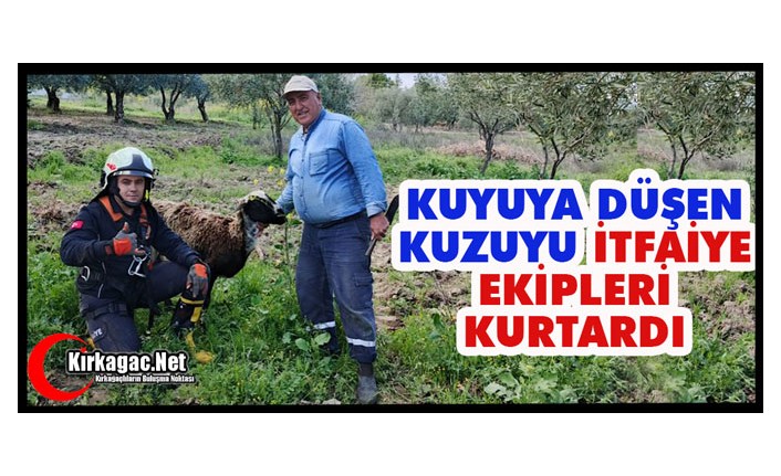 KUYUYA DÜŞEN KUZUYU İTFAİYE EKİPLERİ KURTARDI