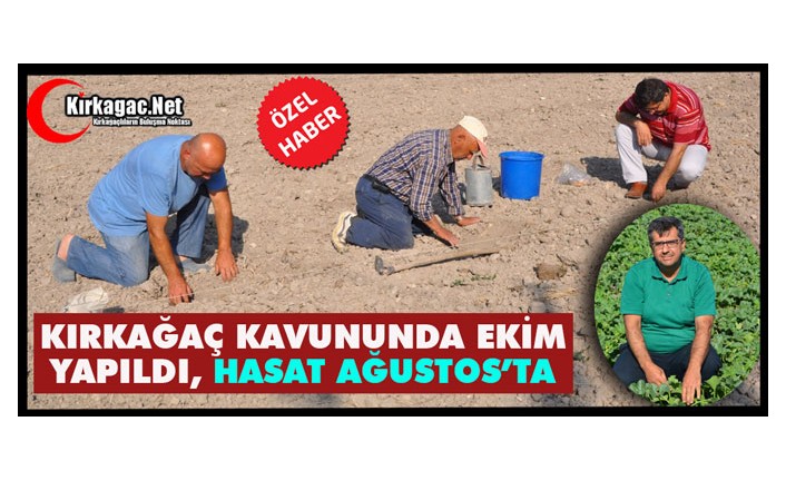 KIRKAĞAÇ KAVUNUNDA EKİM YAPILDI, HASAT AĞUSTOS’TA(ÖZEL HABER)