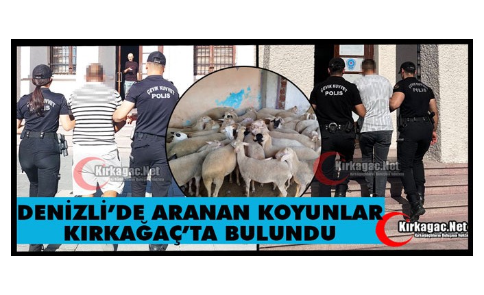 DENİZLİ’DE KAYBOLAN KOYUNLAR KIRKAĞAÇ’TA BULUNDU
