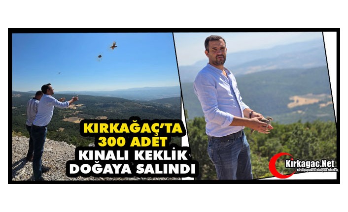 KIRKAĞAÇ’TA 300 ADET KEKLİK DOĞAYA SALINDI