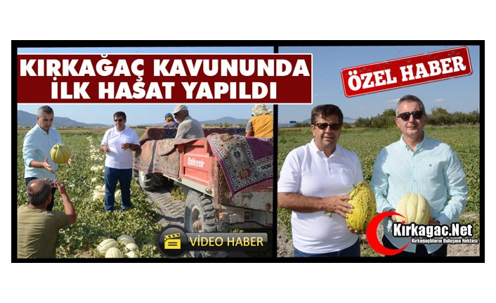 KIRKAĞAÇ KAVUNUNDA İLK HASAT YAPILDI(ÖZEL HABER)