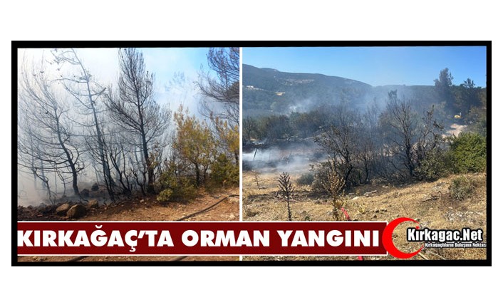 KIRKAĞAÇ'TA ORMAN YANGINI