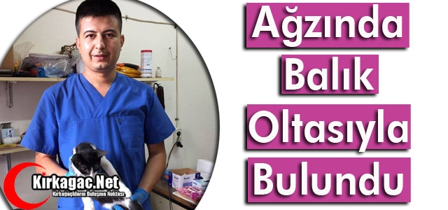 AĞZINDA BALIK OLTASIYLA BULUNDU