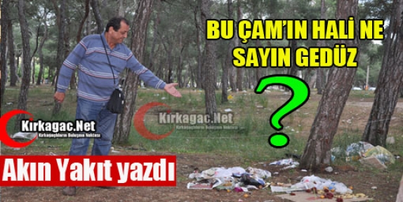 AKIN YAKIT “BU ÇAM'IN HALİ NE GEDÜZ”