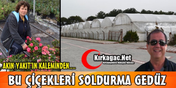 AKIN YAKIT “BU ÇİÇEKLERİ SOLDURMA GEDÜZ”