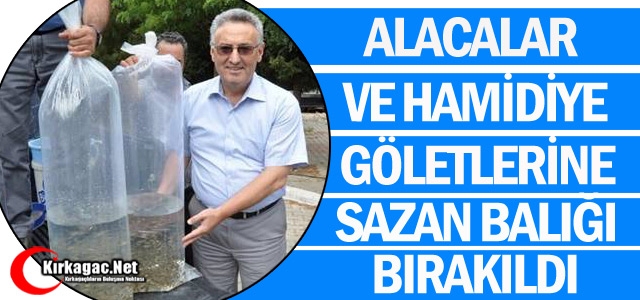 ALACALAR ve HAMİDİYE GÖLETLERİNE SAZAN BIRAKILDI