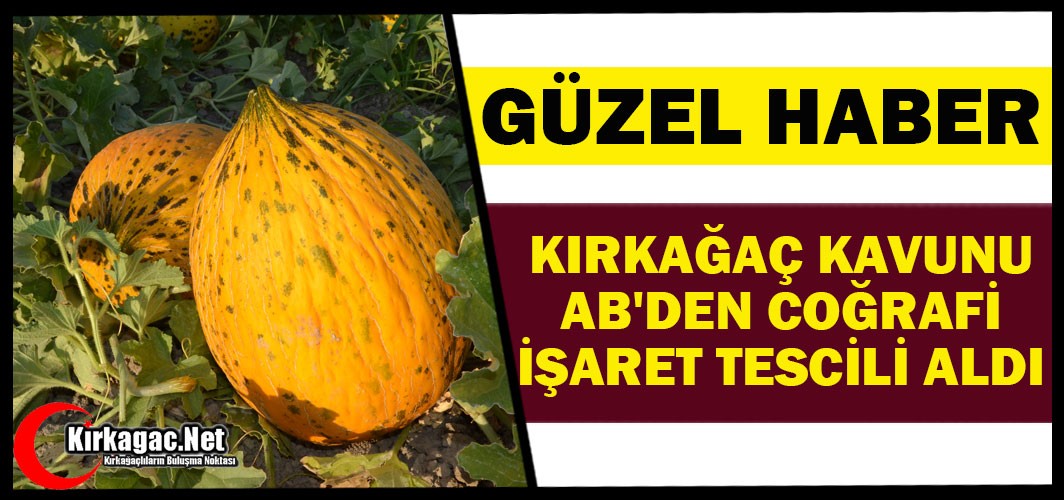 GÜZEL HABER…KIRKAĞAÇ KAVUNU AB'DEN COĞRAFİ İŞARET TESCİLİ ALDI