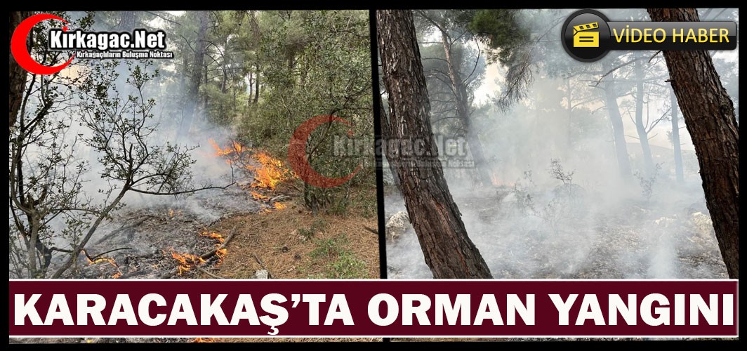 KARACAKAŞ’TA ORMAN YANGINI(VİDEO)