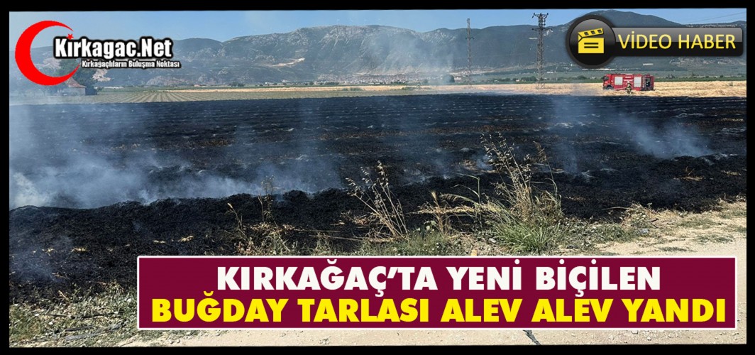 KIRKAĞAÇ’TA YENİ BİÇİLEN BUĞDAY TARLASI ALEV ALEV YANDI