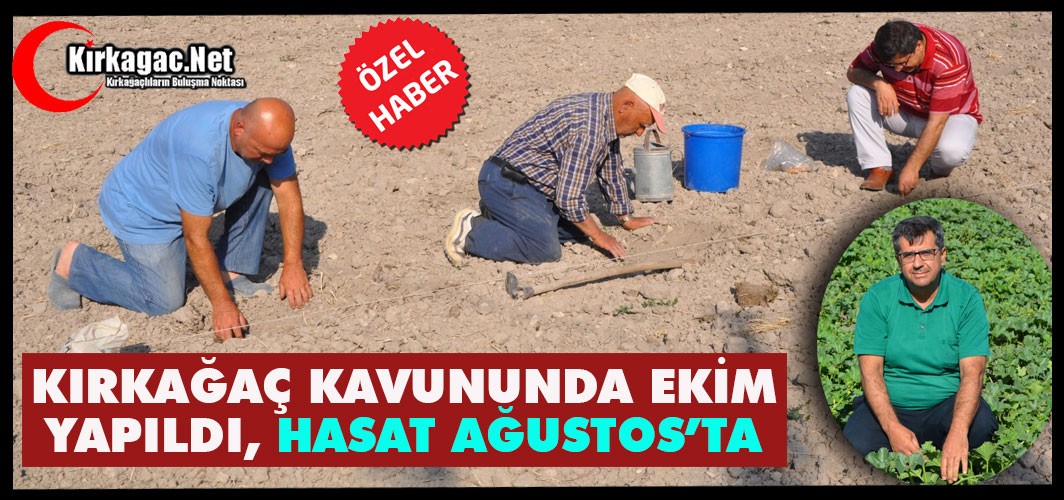 KIRKAĞAÇ KAVUNUNDA EKİM YAPILDI, HASAT AĞUSTOS’TA(ÖZEL HABER)