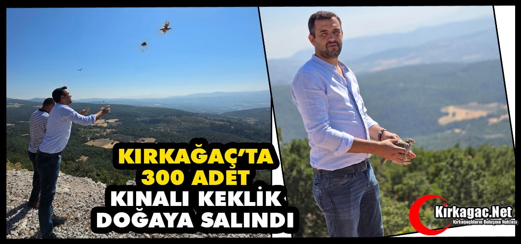 KIRKAĞAÇ’TA 300 ADET KEKLİK DOĞAYA SALINDI