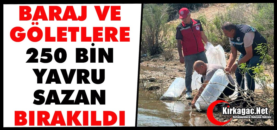 BARAJ VE GÖLETLERE 250 BİN YAVRU SAZAN BIRAKILDI