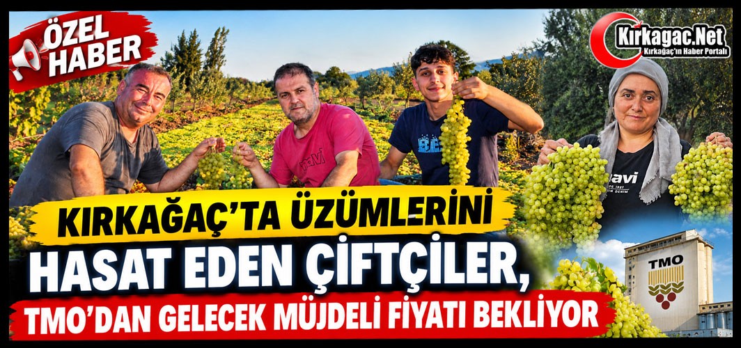 KIRKAĞAÇ’TA ÜZÜMLERİNİ HASAT EDEN ÇİFTÇİLER, TMO’DAN GELECEK MÜJDELİ FİYATI BEKLİYOR(ÖZEL HABER)