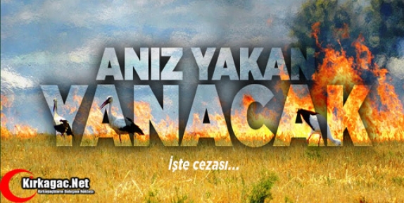 ANIZ YAKMAK YASAK-İŞTE CEZASI