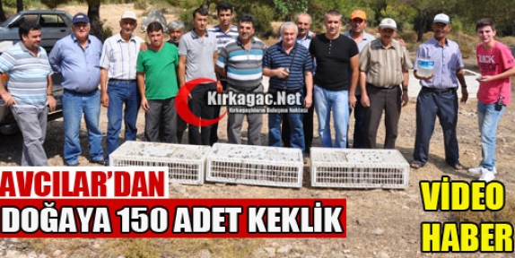  AVCILAR CİNE MEVKİİNE 150 KEKLİK SALDILAR(VİDEO)