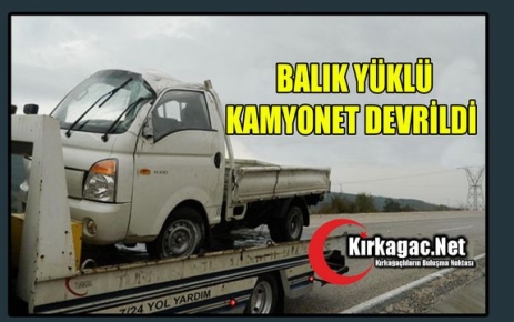 BALIK YÜKLÜ KAMYONET DEVRİLDİ