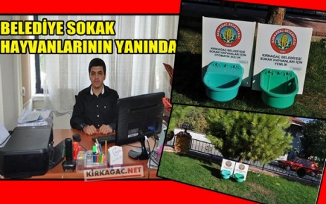 BELEDİYE SOKAK HAYVANLARININ YANINDA