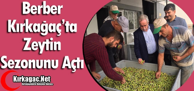 BERBER KIRKAĞAÇ'TA ZEYTİN SEZONUNU AÇTI