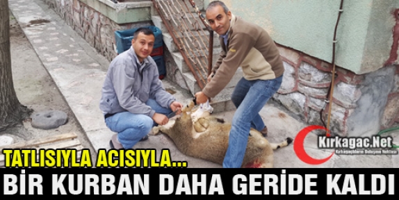 BİR KURBAN BAYRAMI DAHA GERİDE KALDI