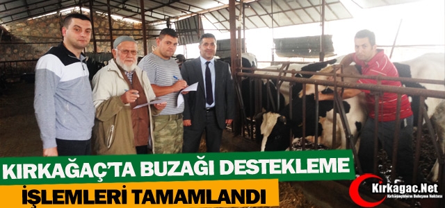 BUZAĞI DESTEKLEME İŞLEMLERİ TAMAMLANDI