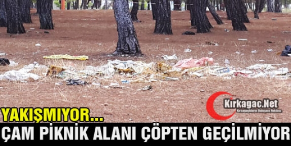 ÇAM ÇÖPTEN GEÇİLMİYOR